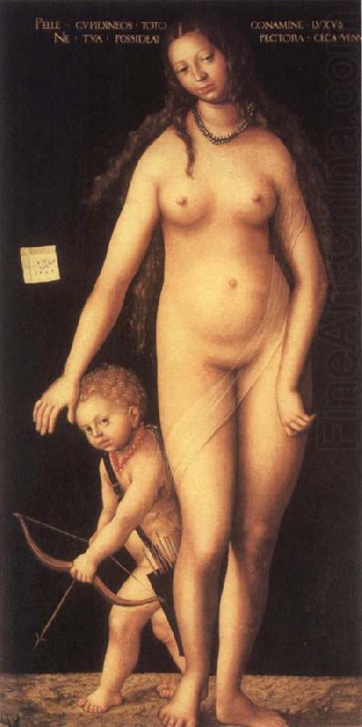 Lucas Cranach the Elder Venus and Cupid china oil painting image